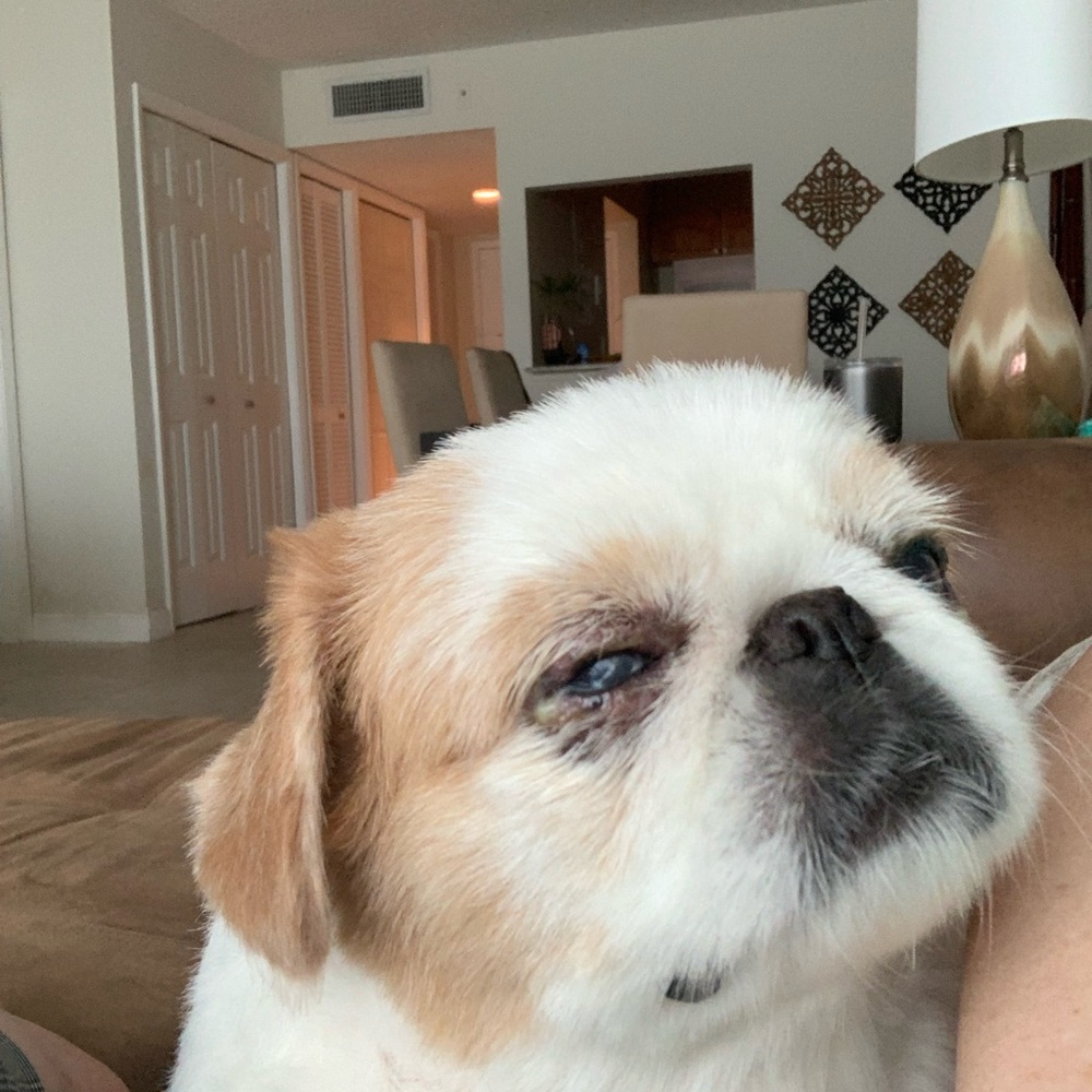 Meet your Posher, Marina